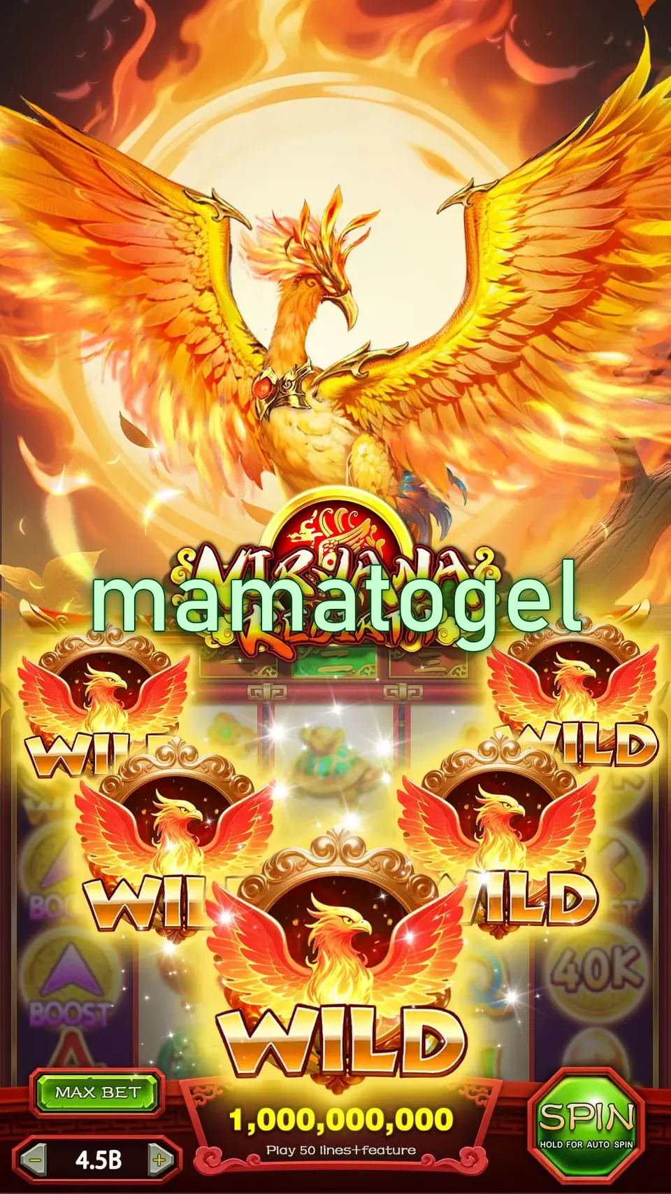 mamatogel Masuk